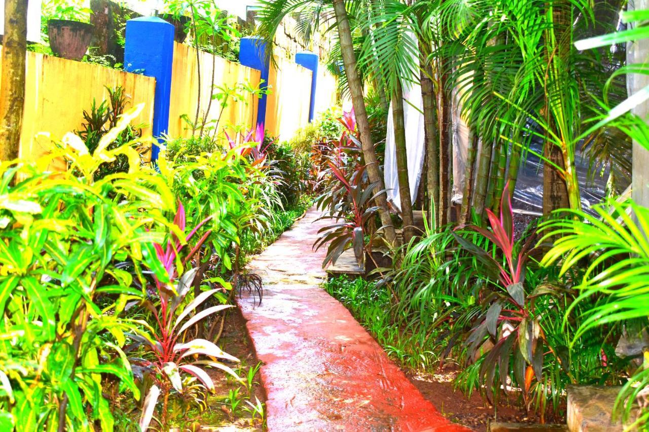 Resort Rosa Salvo Anjuna Esterno foto