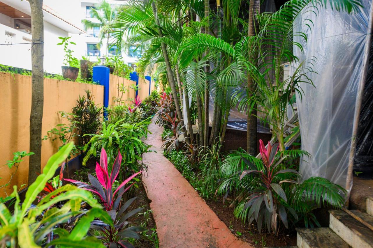 Resort Rosa Salvo Anjuna Esterno foto